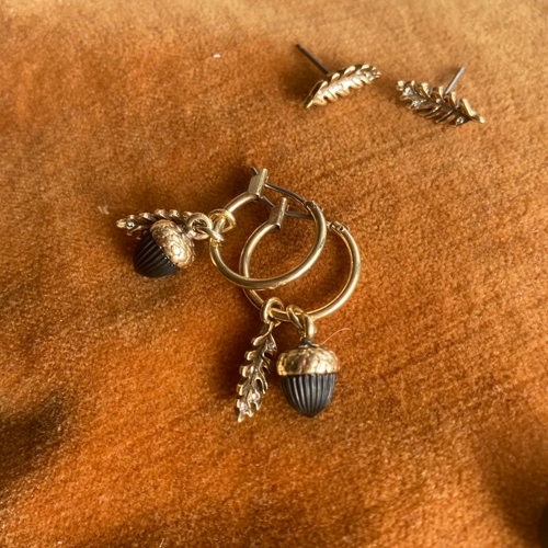  Acorn